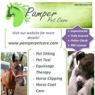 Photo: Pamper Pet Care